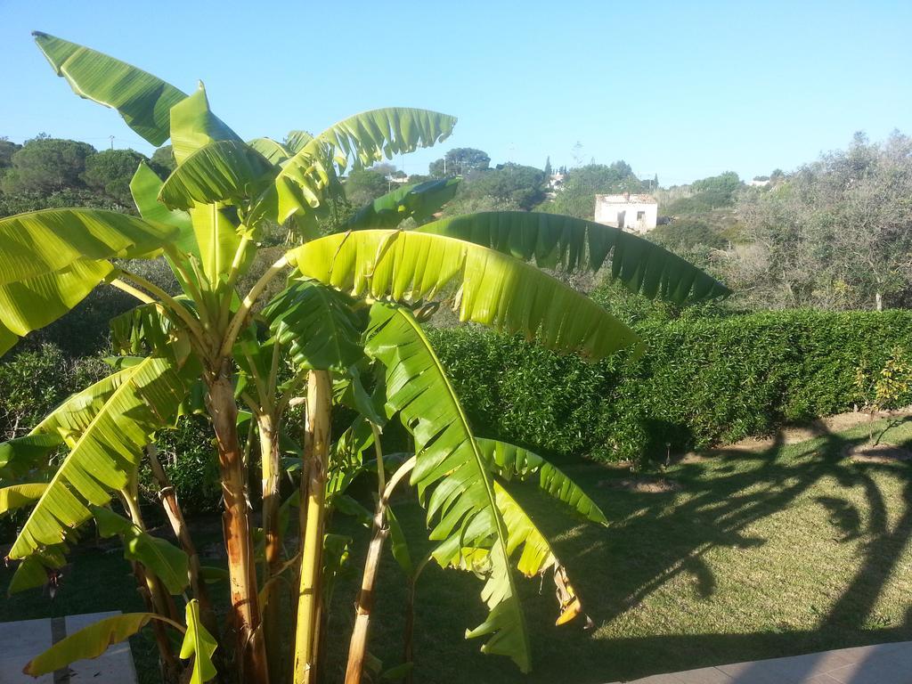 Casa Cereja 'Adults Only' Bed and Breakfast Albufeira Exteriör bild