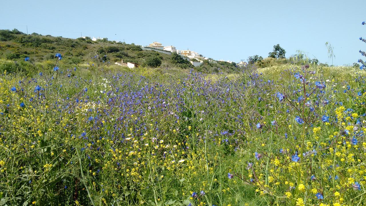 Casa Cereja 'Adults Only' Bed and Breakfast Albufeira Exteriör bild