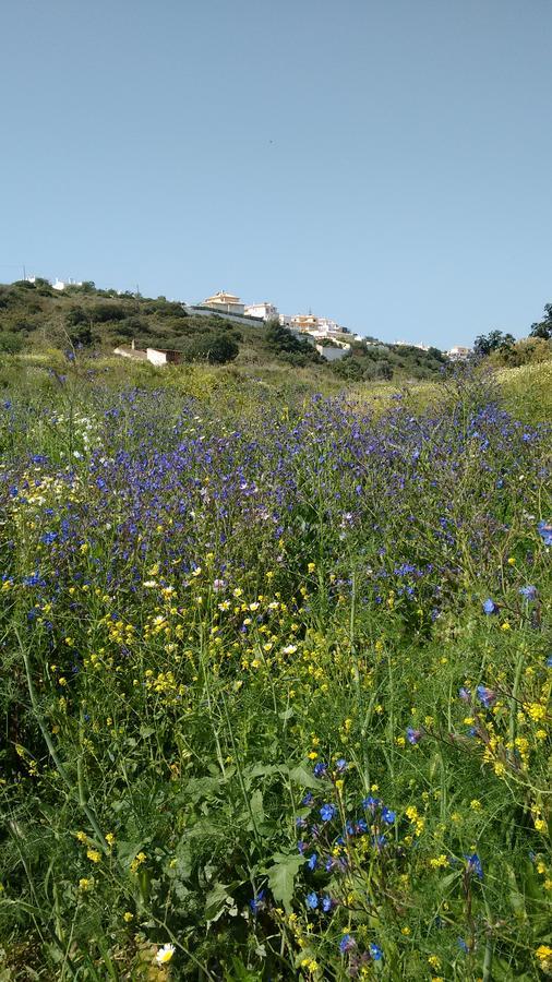 Casa Cereja 'Adults Only' Bed and Breakfast Albufeira Exteriör bild