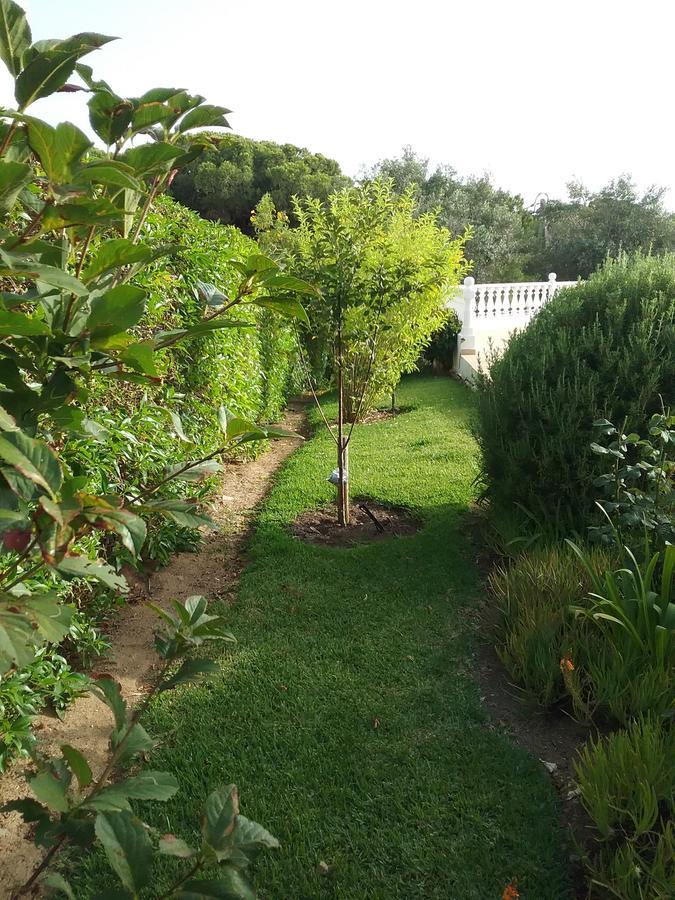 Casa Cereja 'Adults Only' Bed and Breakfast Albufeira Exteriör bild