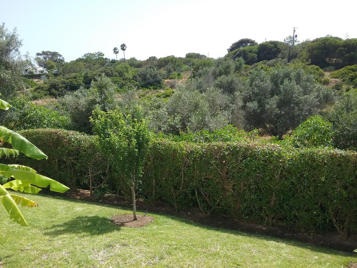 Casa Cereja 'Adults Only' Bed and Breakfast Albufeira Exteriör bild