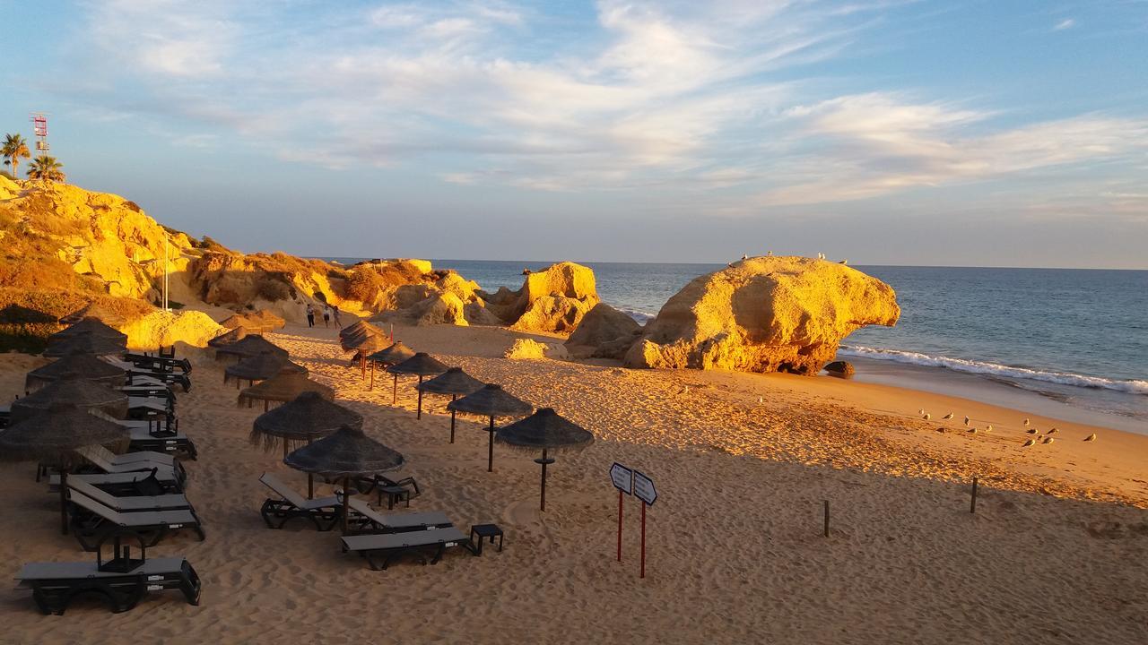 Casa Cereja 'Adults Only' Bed and Breakfast Albufeira Exteriör bild